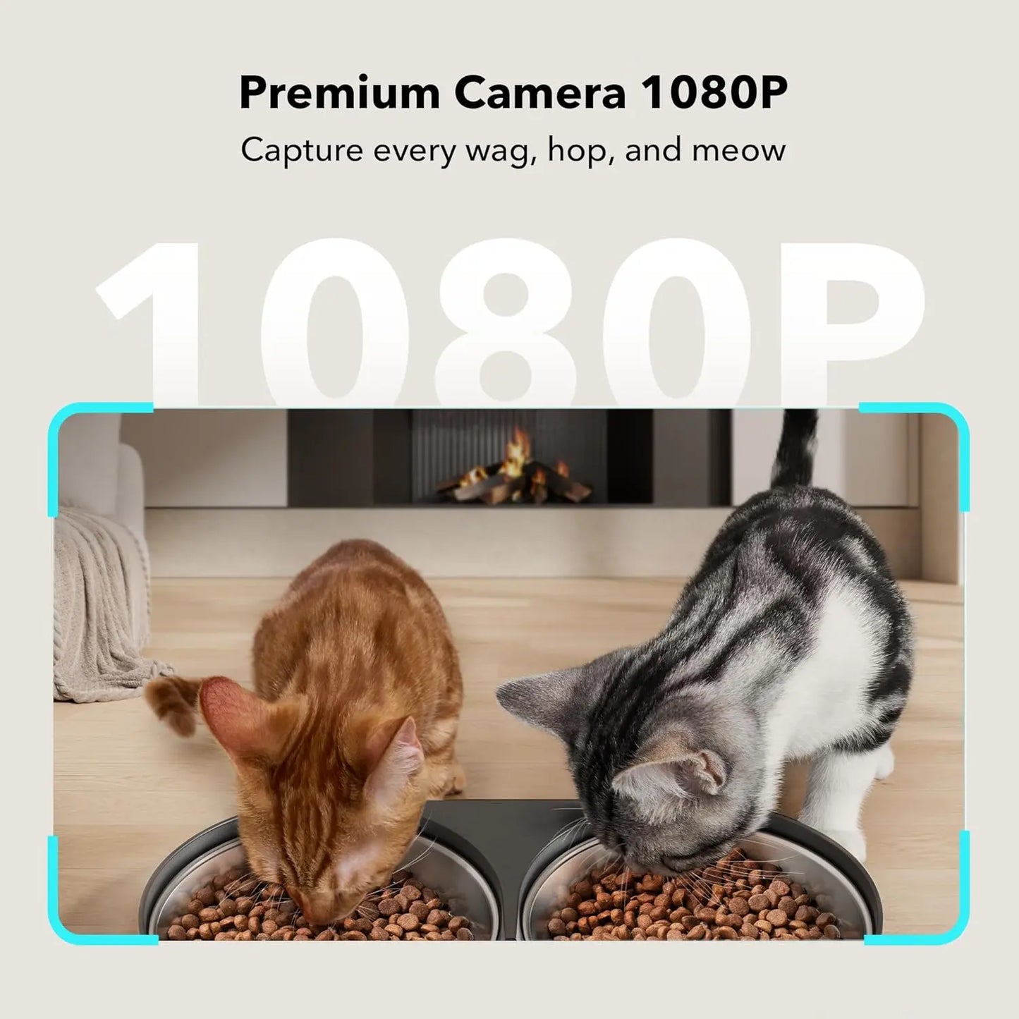 PETLIBRO Automatic Pet Feeder with Camera for Two Pets, 1080P HD Video with Night Vision